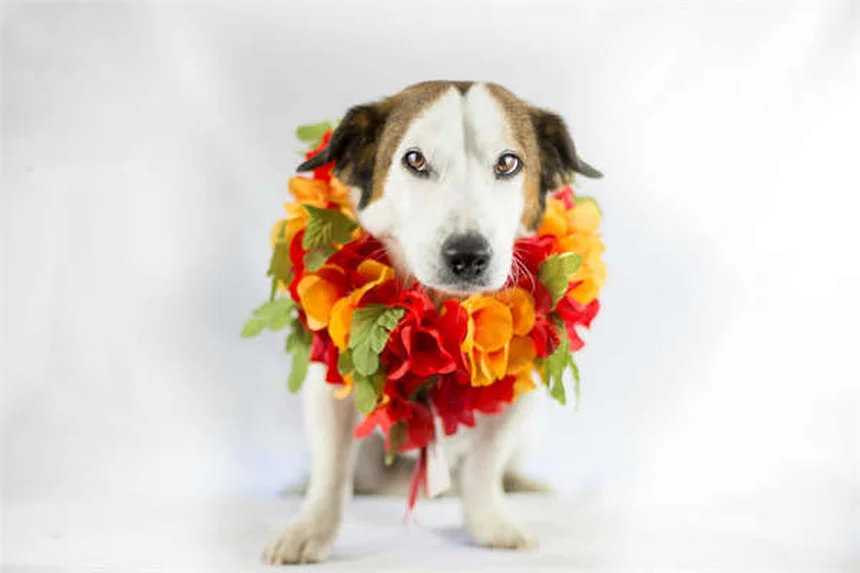 Rivian's $30K EVs: When Can You Get One?