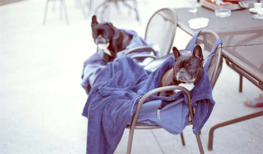 Mercedes' New Pixelated EV Grille: 5 Things You Need to Know